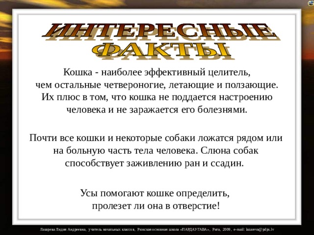 Кошка - наиболее эффективный целитель,  чем остальные четвероногие, летающие и ползающие. Их плюс в том, что кошка не поддается настроению  человека и не заражается его болезнями. Почти все кошки и некоторые собаки ложатся рядом или на больную часть тела человека. Слюна собак способствует заживлению ран и ссадин.   Усы помогают кошке определить, пролезет ли она в отверстие!   
