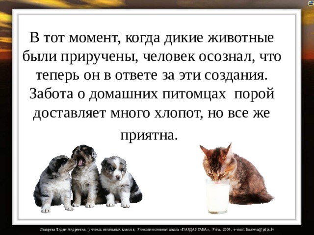 В тот момент, когда дикие животные были приручены, человек осознал, что теперь он в ответе за эти создания. Забота о домашних питомцах  порой доставляет много хлопот, но все же приятна.  