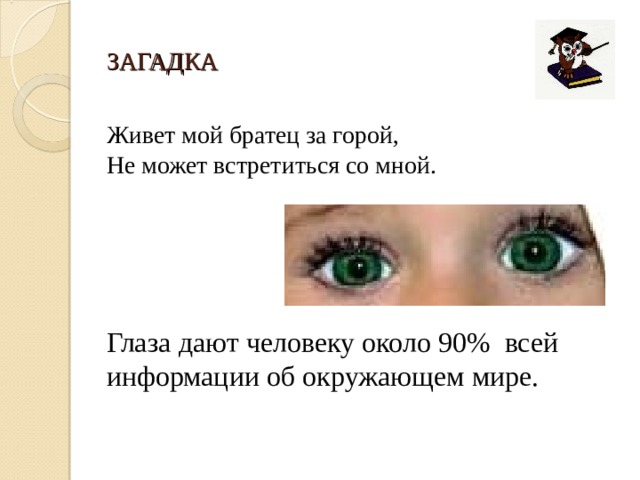 ЗАГАДКА Живет мой братец за горой, Не может встретиться со мной. Глаза дают человеку около 90% всей информации об окружающем мире. 