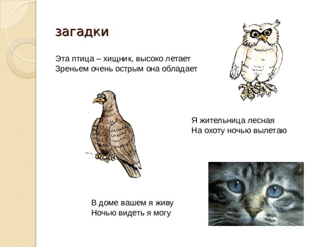 загадки Эта птица – хищник, высоко летает Зреньем очень острым она обладает Я жительница лесная На охоту ночью вылетаю В доме вашем я живу Ночью видеть я могу 