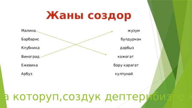 Жаны создор Малина жузум Барбарис булдуркон Клубника дарбыз Виноград кожогат Ежевика бору карагат Арбуз кулпунай (создорду туура которуп,создук дептерибизге жазабыз) 