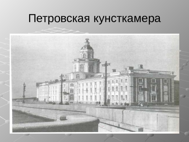 Петровская кунсткамера 