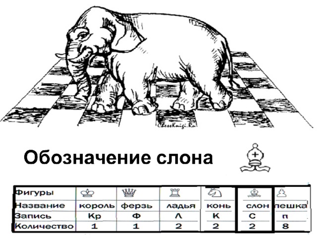 Обитает не в саванне,  И не так огромен он,  Но такое же названье  У фигуры этой -…   