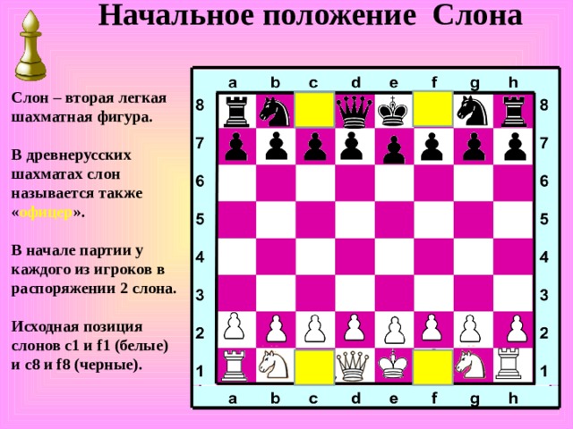 Начальное положение Слона Слон – вторая легкая шахматная фигура.  В древнерусских шахматах слон называется также « офицер ».  В начале партии у каждого из игроков в распоряжении 2 слона.  Исходная позиция слонов c1 и f1 (белые) и c8 и f8 (черные).   