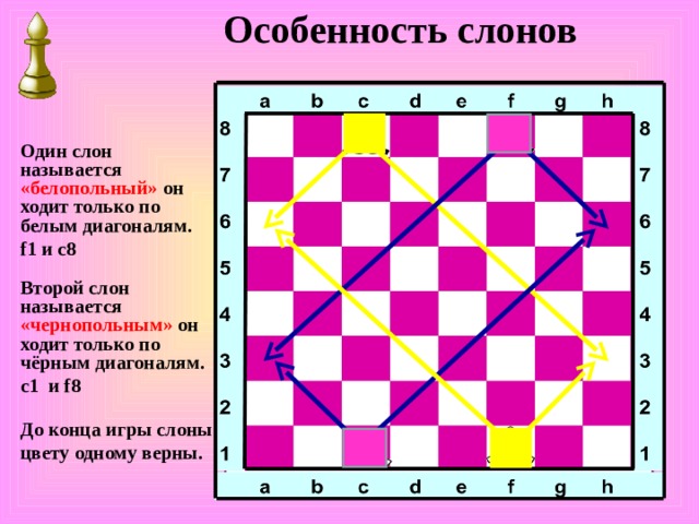 Особенность слонов Один слон называется «белопольный» он ходит только по белым диагоналям. f1 и c8 Второй слон называется «чернопольным» он ходит только по чёрным диагоналям. c1 и f8 До конца игры слоны цвету одному верны. 