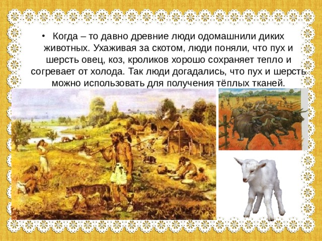Когда – то давно древние люди одомашнили диких животных. Ухаживая за скотом, люди поняли, что пух и шерсть овец, коз, кроликов хорошо сохраняет тепло и согревает от холода. Так люди догадались, что пух и шерсть можно использовать для получения тёплых тканей. 