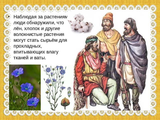 Наблюдая за растениями, люди обнаружили, что лён, хлопок и другие волокнистые растения могут стать сырьём для прохладных, впитывающих влагу тканей и ваты. 