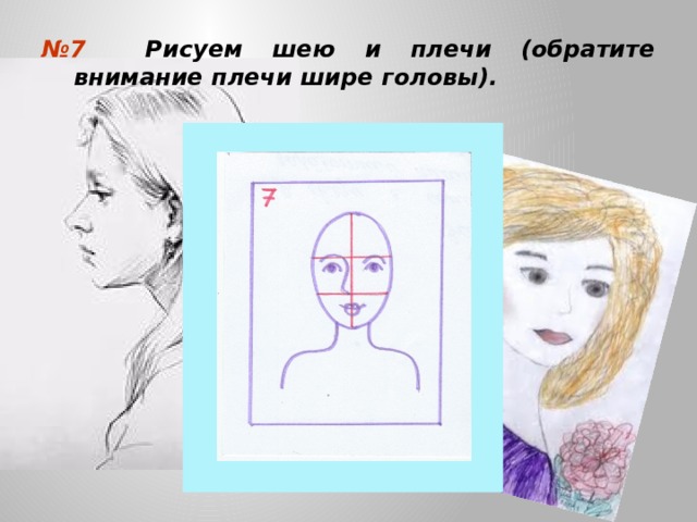 № 7 Рисуем шею и плечи (обратите внимание плечи шире головы). 