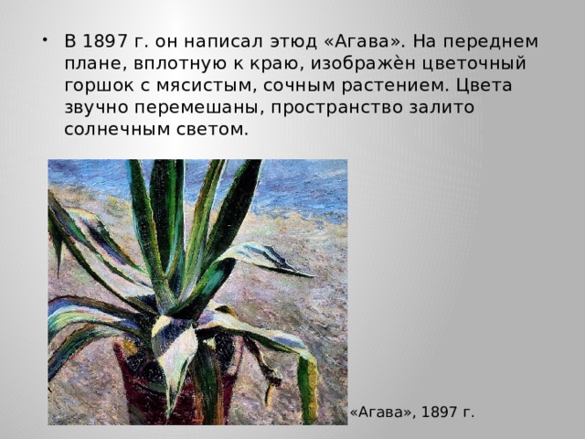 В 1897 г. он написал этюд «Агава». На переднем плане, вплотную к краю, изображѐн цветочный горшок с мясистым, сочным растением. Цвета звучно перемешаны, пространство залито солнечным светом. «Агава», 1897 г. 