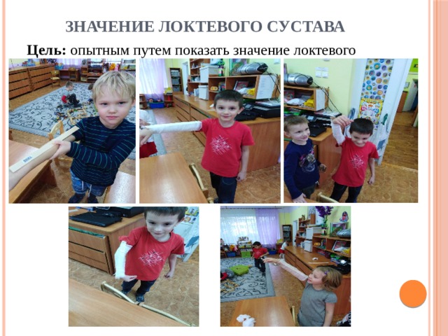Значение локтевого сустава Цель:  опытным путем показать значение локтевого сустава 