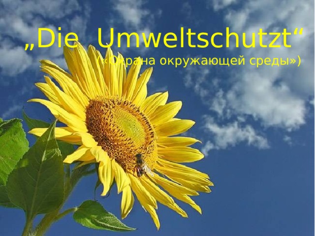 „ Die Umweltschutzt“  («Охрана окружающей среды») 