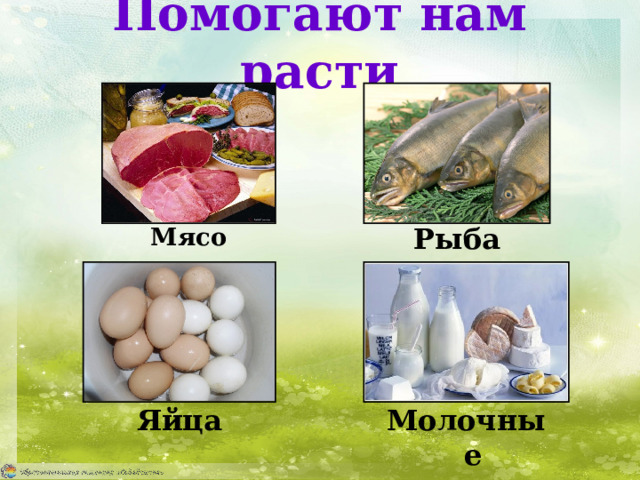 Помогают нам расти Рыба Мясо Яйца Молочные продукты 