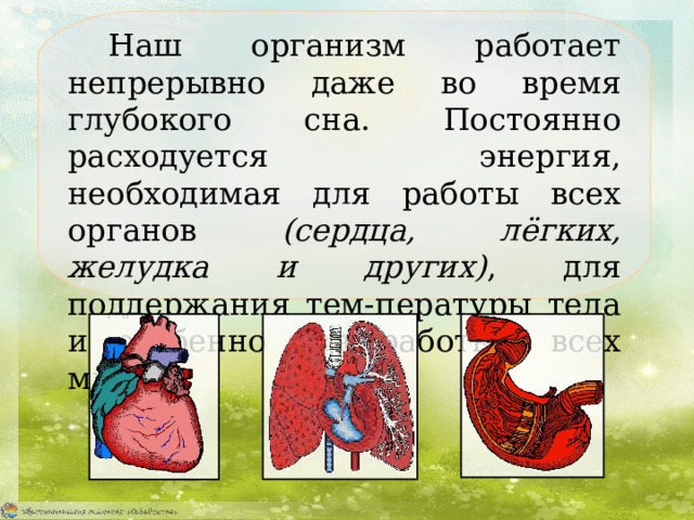 Наш организм работает непрерывно даже во время глубокого сна. Постоянно расходуется энергия, необходимая для работы всех органов  (c ердца, лёгких, желудка и других) , для поддержания тем-пературы тела и особенно для работы всех мышц. 