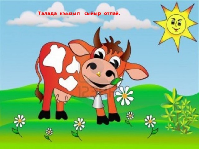  Талада къызыл сыйыр отлай.   