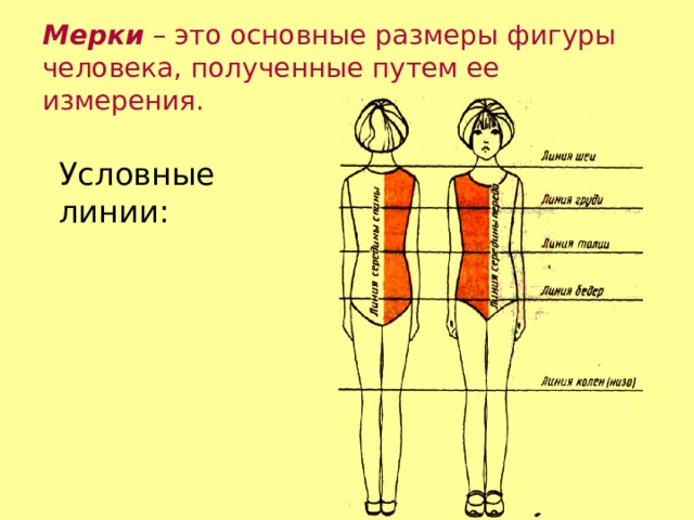 Мерки – это основные размеры фигуры человека, полученные путем ее измерения. Условные линии: 