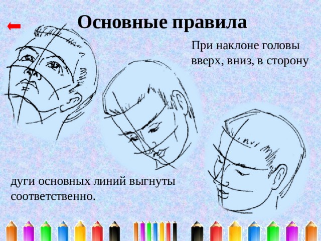 Основные правила При наклоне головы вверх, вниз, в сторону дуги основных линий выгнуты соответственно. 
