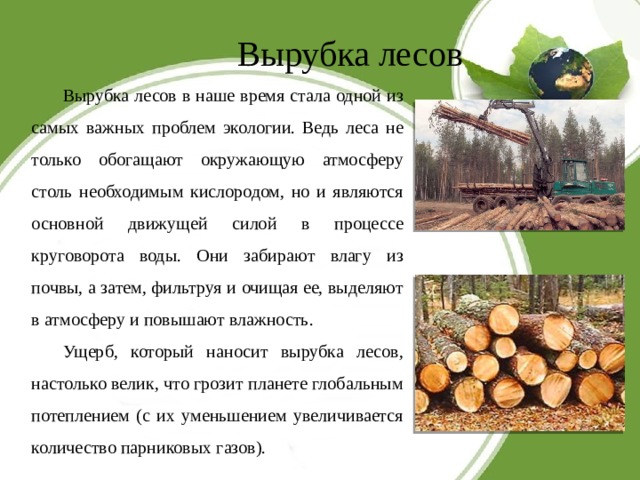 Вырубка лесов   Вырубка лесов в наше время стала одной из самых важных проблем экологии. Ведь леса не только обогащают окружающую атмосферу столь необходимым кислородом, но и являются основной движущей силой в процессе круговорота воды. Они забирают влагу из почвы, а затем, фильтруя и очищая ее, выделяют в атмосферу и повышают влажность. Ущерб, который наносит вырубка лесов, настолько велик, что грозит планете глобальным потеплением (с их уменьшением увеличивается количество парниковых газов). 