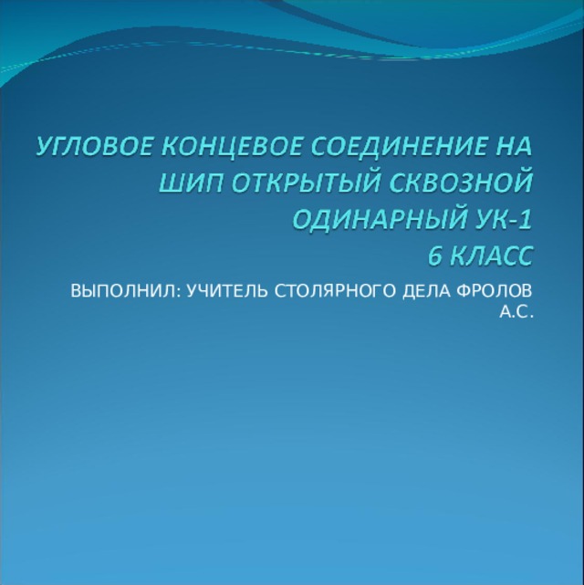 ВЫПОЛНИЛ: УЧИТЕЛЬ СТОЛЯРНОГО ДЕЛА ФРОЛОВ А.С.
