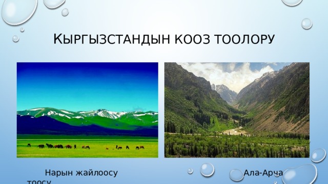 К ыргызстандын кооз тоолору  Нарын жайлоосу Ала-Арча тоосу 