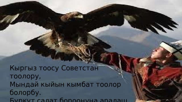 Кыргыз тоосу Советстан тоолору, Кыргыз тоосу Советстан тоолору, Мындай кыйын кымбат тоолор болорбу.  Мындай кыйын кымбат тоолор болорбу, Бүркүт салат бороонуна аралаш Бүркүт салат бороонуна аралаш, Улуу өлкөгө уурданган жоолорду. Улуу өлкөгө уурданган жоолорду . 