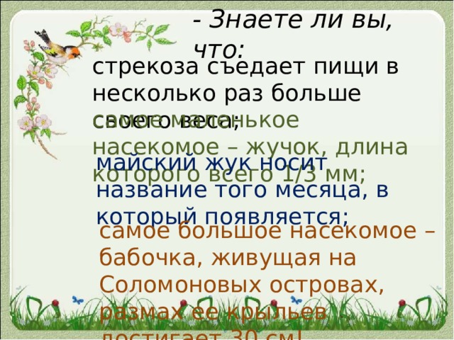 - Знаете ли вы, что: стрекоза съедает пищи в несколько раз больше своего веса; самое маленькое насекомое – жучок, длина которого всего 1/3 мм; майский жук носит название того месяца, в который появляется; самое большое насекомое – бабочка, живущая на Соломоновых островах, размах ее крыльев достигает 30 см! 