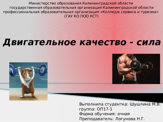 Министерство образования Калининградской области государственная образовательная организация Калининградской области профессиональная образовательная организация «Колледж сервиса и туризма» (ГАУ КО ПОО КСТ) Двигательное качество - сила Выполнила студентка: Шушлина М.В.  группа: ОП17-1  Форма обучения: очная  Преподаватель: Логунова Н.Г. 