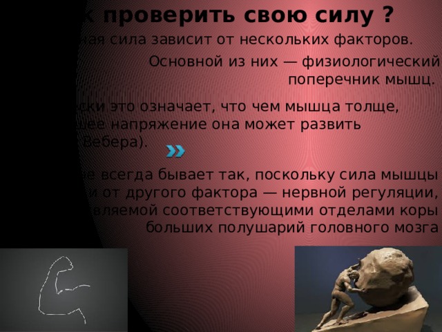 Как проверить свою силу ? Мышечная сила зависит от нескольких факторов.  Основ­ной из них — физиологический поперечник мышц. Прак­тически это означает, что чем мышца толще, тем большее напряжение она может развить (принцип Вебера). Однако не всегда бывает так, поскольку сила мышцы зависит и от другого факто­ра — нервной регуляции, осуществляемой соответствую­щими отделами коры больших полушарий головного мозга 