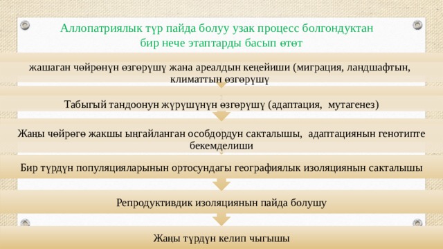 Репродуктивдик изоляциянын пайда болушу Бир түрдүн популяцияларынын ортосундагы географиялык изоляциянын сакталышы 3 2 1 Аллопатриялык түр пайда болуу узак процесс болгондуктан бир нече этаптарды басып өтөт жашаган чөйрөнүн өзгөрүшү жана ареалдын кеңейиши (миграция, ландшафтын, климаттын өзгөрүшү Табыгый тандоонун жүрүшүнүн өзгөрүшү (адаптация, мутагенез) Жаңы чөйрөгө жакшы ыңгайланган особдордун сакталышы, адаптациянын генотипте бекемделиши Жаңы түрдүн келип чыгышы 