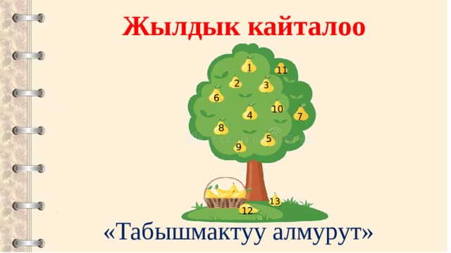 Жылдык кайталоо 1 11 2 3 6 10 4 7 8 5 9 13 12 «Табышмактуу алмурут» 