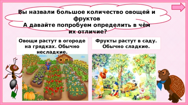 Вы назвали большое количество овощей и фруктов А давайте попробуем определить в чём  их отличие? Овощи растут в огороде на грядках. Обычно несладкие. Фрукты растут в саду. Обычно сладкие. 