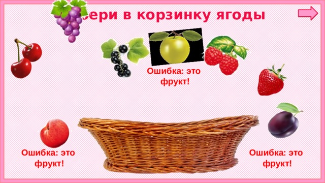 Собери в корзинку ягоды  Ошибка: это фрукт! корзинка Ошибка: это Ошибка: это фрукт! фрукт! 6 
