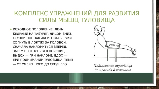 Комплекс упражнений для развития силы мышц туловища Исходное положение: лечь бедрами на табурет, лицом вниз, ступни ног зафиксировать, руки согнуть в локтях за головой. Сначала наклониться вперед, затем прогнуться в пояснице. Выдох — при наклоне, вдох — при поднимании туловища, темп — от умеренного до среднего. 