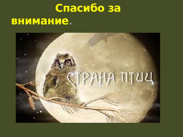  Спасибо за внимание . 