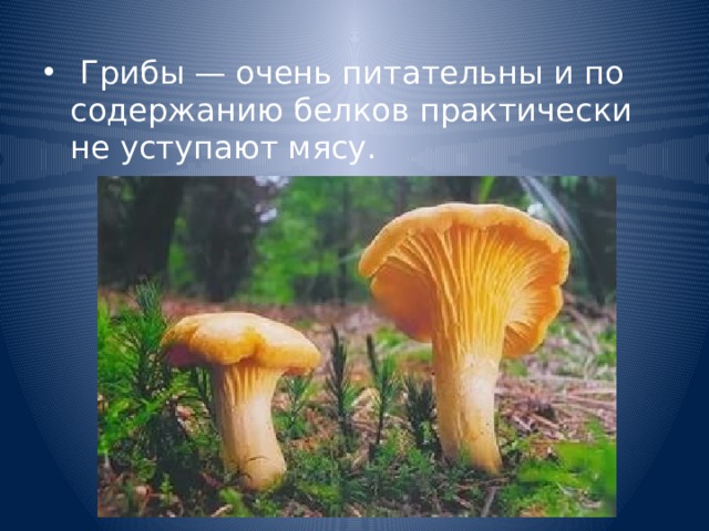   Грибы — очень питательны и по содержанию белков практически не уступают мясу. 