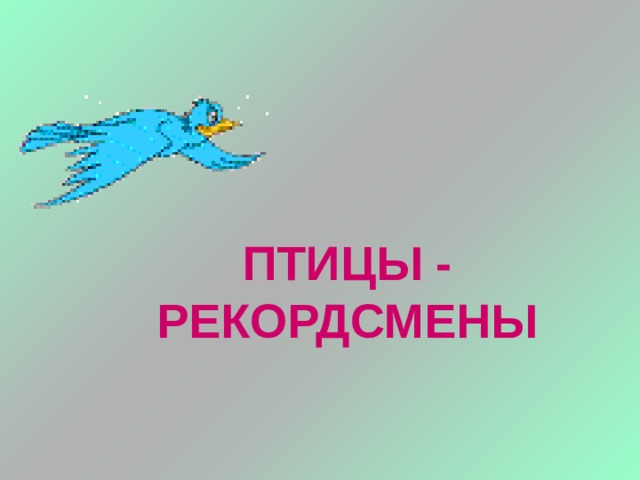 ПТИЦЫ - РЕКОРДСМЕНЫ 