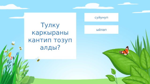 Тулку каркыраны кантип тозуп алды? суйунуп ыйлап 