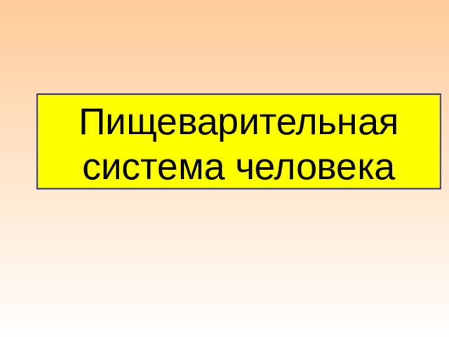 Пищеварительная система человека 