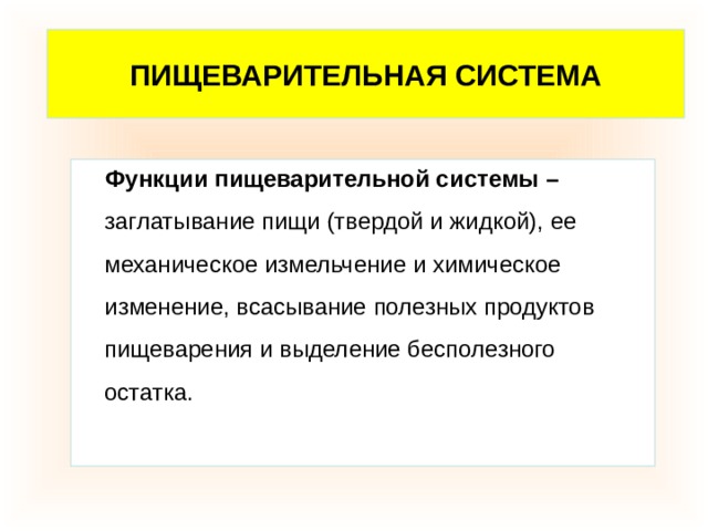 ПИЩЕВАРИТЕЛЬНАЯ СИСТЕМА  Функции пищеварительной системы – заглатывание пищи (твердой и жидкой), ее механическое измельчение и химическое изменение, всасывание полезных продуктов пищеварения и выделение бесполезного остатка. 