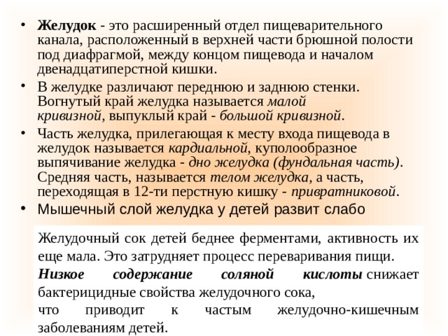 Желудок - это расширенный отдел пищеварительного канала, расположенный в верхней части брюшной полости под диафрагмой, между концом пищевода и началом двенадцатиперстной кишки. В желудке различают переднюю и заднюю стенки. Вогнутый край желудка называется  малой кривизной,  выпуклый край -  большой кривизной . Часть желудка, прилегающая к месту входа пищевода в желудок называется  кардиальной , куполообразное выпячивание желудка -  дно желудка   (фундальная часть) . Средняя часть, называется  телом желудка,  а часть, переходящая в 12-ти перстную кишку -  привратниковой . Мышечный слой желудка у детей развит слабо Желудочный сок детей беднее ферментами, активность их еще мала. Это затрудняет процесс переваривания пищи.  Низкое содержание соляной кислоты  снижает бактерицидные свойства желудочного сока, что приводит к частым желудочно-кишечным заболеваниям детей. 