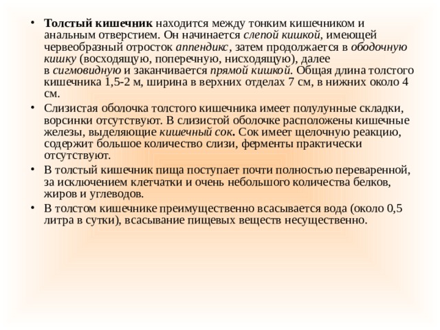 Толстый кишечник  находится между тонким кишечником и анальным отверстием. Он начинается  слепой кишкой,  имеющей червеобразный отросток  аппендикс , затем продолжается в  ободочную кишку  (восходящую, поперечную, нисходящую), далее в  сигмовидную  и заканчивается  прямой кишкой.  Общая длина толстого кишечника 1,5-2 м, ширина в верхних отделах 7 см, в нижних около 4 см. Слизистая оболочка толстого кишечника имеет полулунные складки, ворсинки отсутствуют. В слизистой оболочке расположены кишечные железы, выделяющие  кишечный сок .  Сок имеет щелочную реакцию, содержит большое количество слизи, ферменты практически отсутствуют. В толстый кишечник пища поступает почти полностью переваренной, за исключением клетчатки и очень небольшого количества белков, жиров и углеводов. В толстом кишечнике преимущественно всасывается вода (около 0,5 литра в сутки), всасывание пищевых веществ несущественно. 