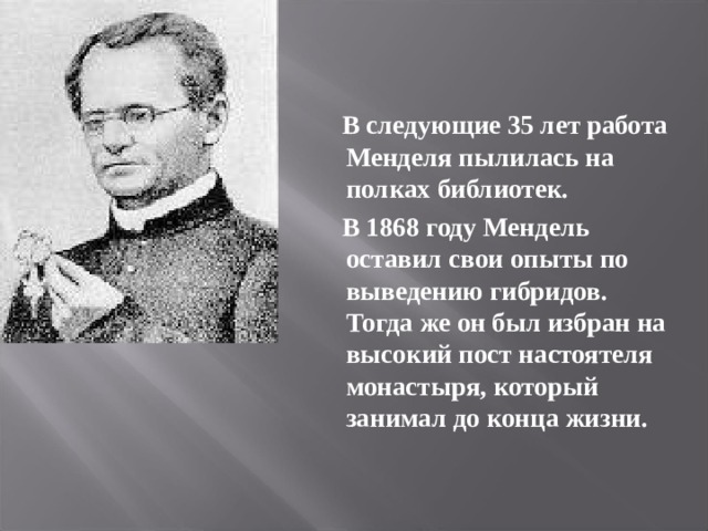  В следующие 35 лет работа Менделя пылилась на полках библиотек.  В 1868 году Мендель оставил свои опыты по выведению гибридов. Тогда же он был избран на высокий пост настоятеля монастыря, который занимал до конца жизни. 