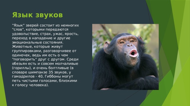 Язык звуков 