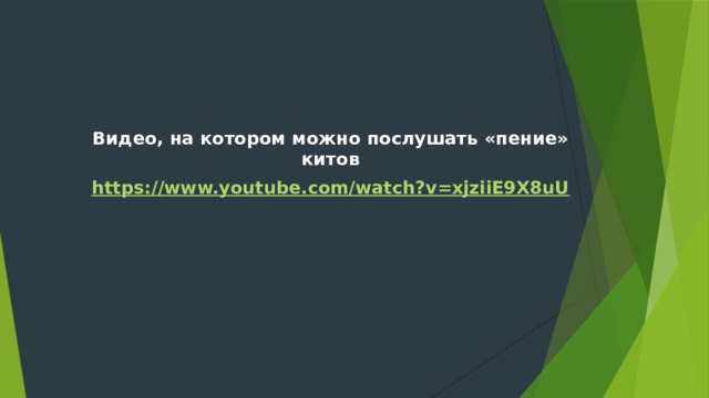Видео, на котором можно послушать «пение» китов https://www.youtube.com/watch?v=xjziiE9X8uU 