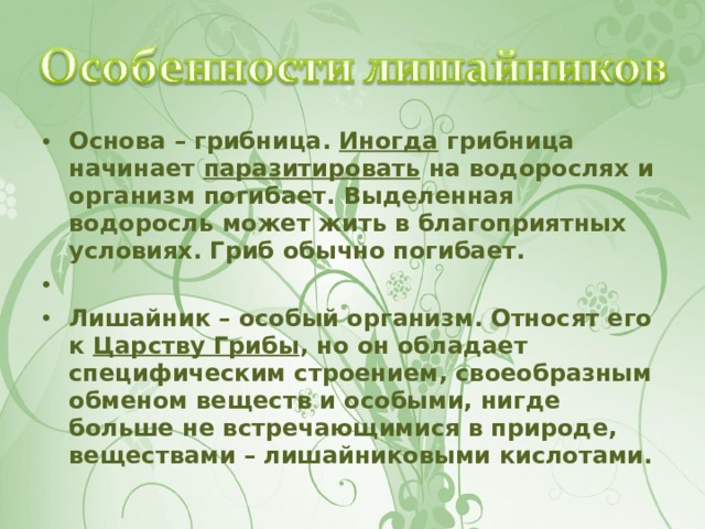 Основа – грибница. Иногда грибница начинает паразитировать на водорослях и организм погибает. Выделенная водоросль может жить в благоприятных условиях. Гриб обычно погибает.   Лишайник – особый организм. Относят его к Царству Грибы , но он обладает специфическим строением, своеобразным обменом веществ и особыми, нигде больше не встречающимися в природе, веществами – лишайниковыми кислотами.  