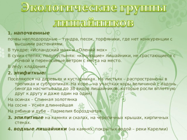 1. напочвенные почвы неплодородные – тундра, песок, торфяники, где нет конкуренции с высшими растениями. В тундре: «Исландский мох» и «Олений мох» В сухих степях, полупустынях: «кочующие» лишайники, не срастающиеся с почвой и переносимые ветром с места на место. В лесу: кладония . 2. эпифитные: Поселяются на деревьях и кустарниках. На листьях – распространены в тропиках и субтропиках. На коре – на участках коры величиной с ладонь. (иногда насчитывали до 38 видов лишайников, которые росли вплотную друг к другу и даже один на один) На осинах – Спинная золотянка На сосне – Уснея длиннейшая На рябине и дубе – Пармелия бороздчатая 3 . эпилитные на камнях и скалах, на черепичных крышах, кирпичных стенах. 4. водные лишайники (на камнях, покрытых водой – реки Карелии) 