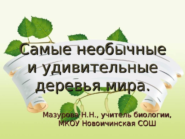 Самые необычные и удивительные деревья мира. Мазурова Н.Н., учитель биологии, МКОУ Новоичинская СОШ 