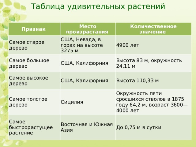Таблица удивительных растений Признак Место произрастания Самое старое дерево Количественное значение США, Невада, в горах на высоте 3275 м Самое большое дерево 4900 лет США, Калифорния Самое высокое дерево Самое толстое дерево Высота 83 м, окружность 24,11 м США, Калифорния Высота 110,33 м Сицилия Самое быстрорастущее растение Окружность пяти сросшихся стволов в 1875 году 64,2 м, возраст 3600—4000 лет Восточная и Южная Азия До 0,75 м в сутки 