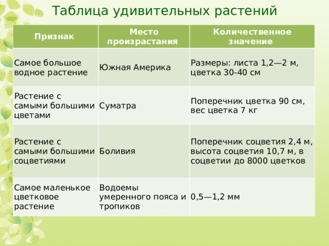 Таблица удивительных растений Признак Место произрастания Самое большое водное растение Количественное значение Южная Америка Растение с самыми большими цветами Размеры: листа 1,2—2 м, цветка 30-40 см Суматра Растение с самыми большими соцветиями Поперечник цветка 90 см, вес цветка 7 кг Боливия Самое маленькое цветковое растение Поперечник соцветия 2,4 м, высота соцветия 10,7 м, в соцветии до 8000 цветков Водоемы умеренного пояса и тропиков 0,5—1,2 мм 