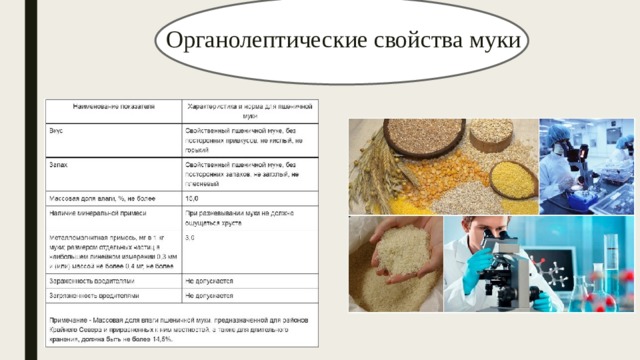Органолептические свойства муки 