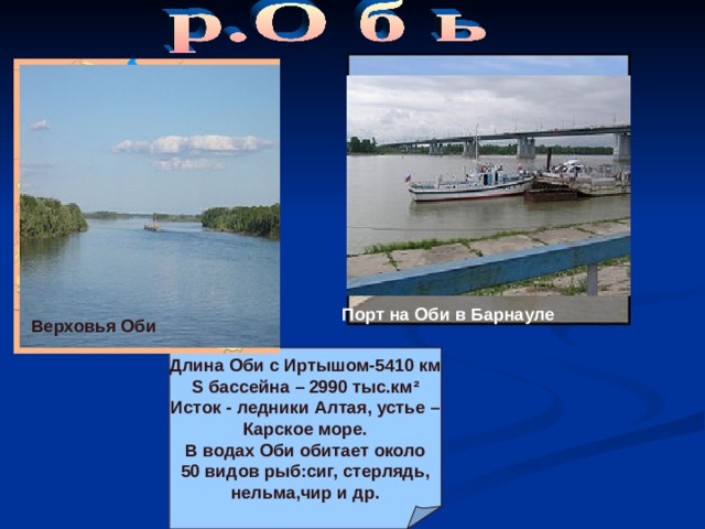 Порт на Оби в Барнауле Верховья Оби Длина Оби с Иртышом-5410 км S бассейна – 2990 тыс.км ² Исток - ледники Алтая, устье – Карское море. В водах Оби обитает около 50 видов рыб:сиг, стерлядь, нельма,чир и др. 